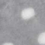 WeißePünktchen Grau